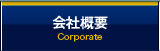 ЊTv