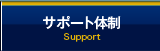 T|[g̐